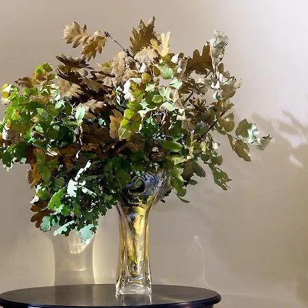 Dimosthenis فندق Goumenissa