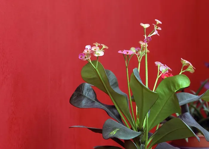 Dimosthenis Hotel 3*